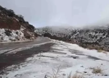 Se Registran Nevadas por Tormenta Invernal en Sonora; Autoridades Emiten Recomendaciones