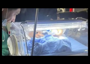 FNGS exige se investigue caso de niño abandonado en el Poblado Miguel Alemán y castigo a los responsables