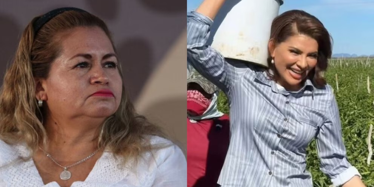 Ceci Flores invita a senadora de Morena a jornada de búsqueda en Sonora: “En su tierra hay mucho que desenterrar”