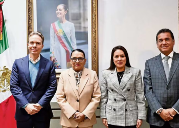 Gobierno ofrece a Verde y PT salvar pluris y parte de su beca