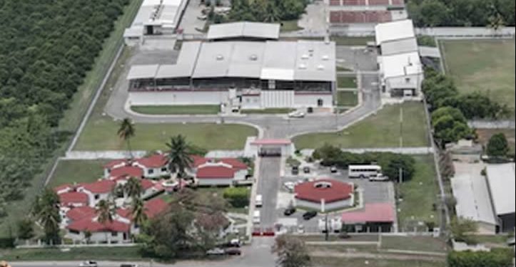 Nueva planta de moscas estériles en Chiapas: ¿cómo impactará la lucha contra el gusano barrenador?