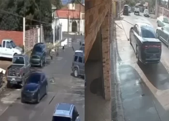 Vehículo embiste brutalmente a perros en Cananea; identifican a responsable