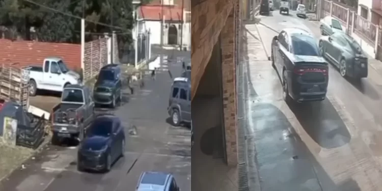 Vehículo embiste brutalmente a perros en Cananea; identifican a responsable