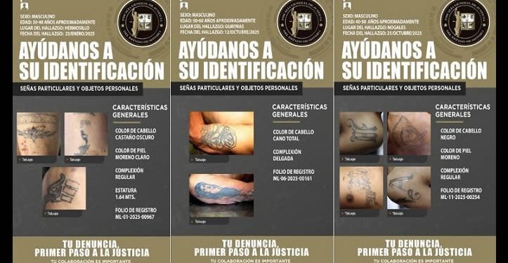 FGJE cuentan con 15 nuevas cédulas de restos humanos en su App para que familiares puedan identificarlos