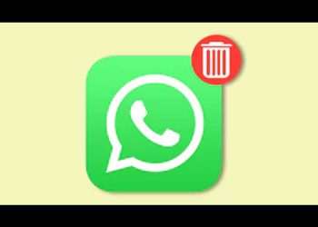 Dónde está la papelera de WhatsApp y cómo recuperar archivos y chats