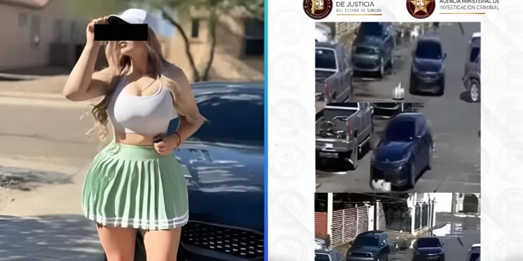 Mujer atropella a perritos en Sonora: podría recibir hasta 4 años de prisión