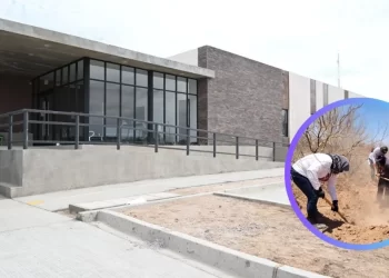 Colectivos de Sonora esperan que inicie operaciones el Centro de Identificación Genética Forense este año