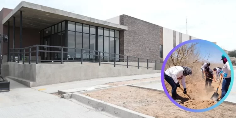 Colectivos de Sonora esperan que inicie operaciones el Centro de Identificación Genética Forense este año