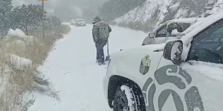 Nieve incomunica a Sonora y Chihuahua; alertan sobre segunda tormenta invernal de la temporada durante fin de semana