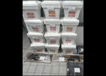 Localizan Cuerpo Sin Vida con Signos de Violencia en el Valle de Empalme