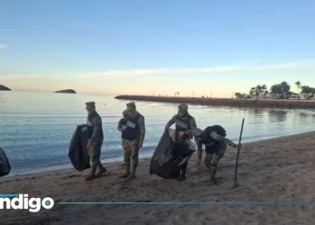 Marina mantiene activa la Campaña Nacional de Limpieza de Playas y Costas de México en el estado de Sonora