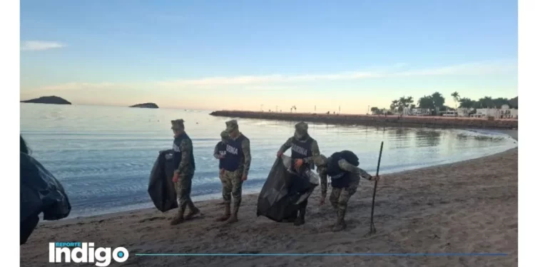 Marina mantiene activa la Campaña Nacional de Limpieza de Playas y Costas de México en el estado de Sonora