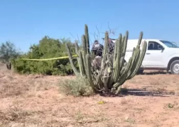Localizan Cuerpo Sin Vida con Signos de Violencia en el Valle de Empalme