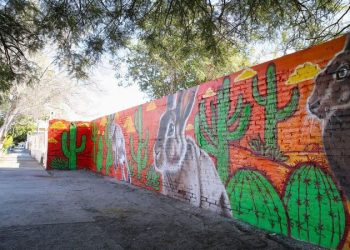 SICT y Sonora impulsan Senderos Seguros en San Luis Río Colorado para proteger a peatones