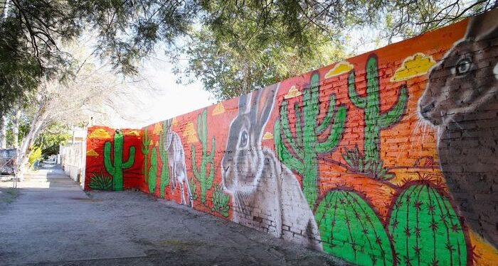 SICT y Sonora impulsan Senderos Seguros en San Luis Río Colorado para proteger a peatones