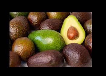 Por el Super Bowl, EU compra 11% más aguacate mexicano; cifra representa un récord histórico en exportación