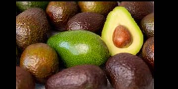Por el Super Bowl, EU compra 11% más aguacate mexicano; cifra representa un récord histórico en exportación