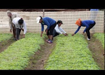 EU invertirá 40 mdd en un centro de investigación agrícola en México