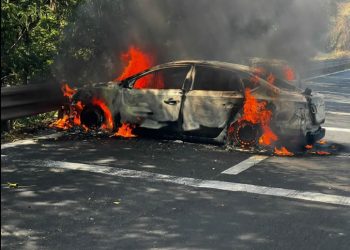 ‘El Mencho es un hijo del Estado mexicano’: Buscaglia