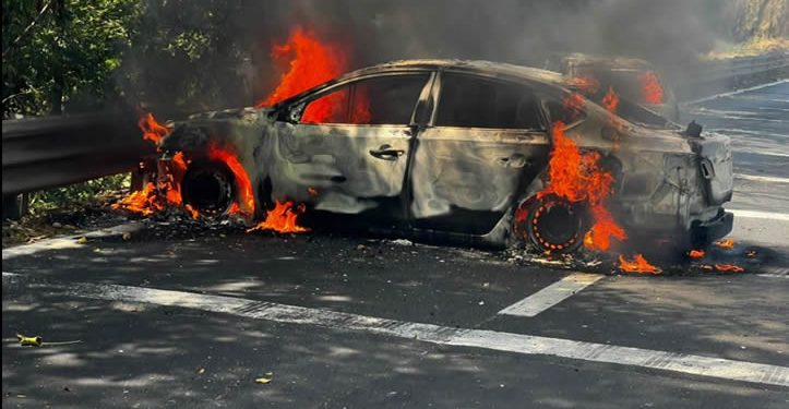 ‘El Mencho es un hijo del Estado mexicano’: Buscaglia