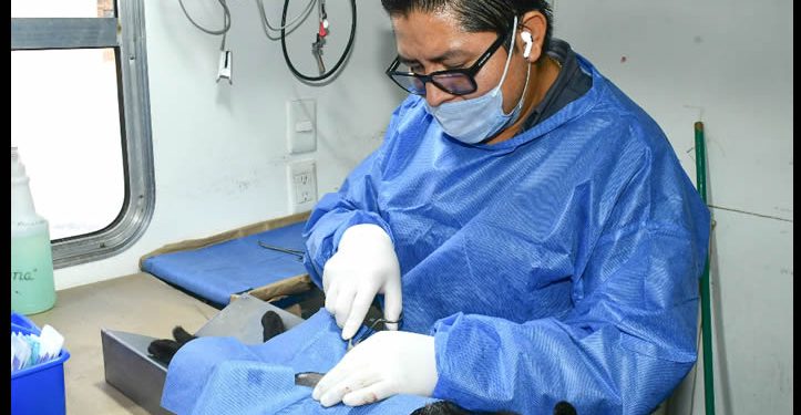 Invita Gobierno Municipal a esterilizar animales de compañía en el Centro de Castración en Bahía de Kino