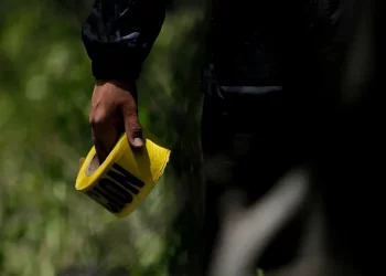 Encuentran 2 fosas con restos humanos en San Luis Río Colorado