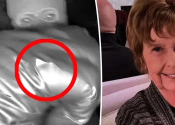 ¿Está en Sonora? Esto sabemos del caso de la desaparición de la mamá de un reconocida conductora de televisión