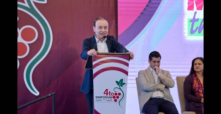 Sonora se consolida como gigante de la uva: producción supera las 335 mil toneladas