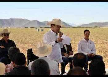 Arranca en Caborca la temporada de cosecha de espárrago 2025-2026