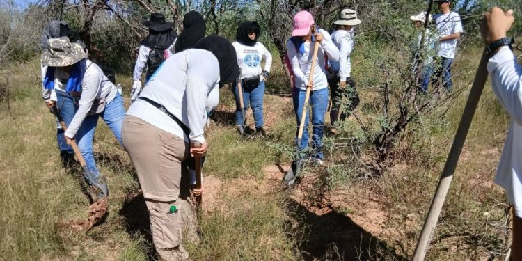 Localizan más de mil fosas clandestinas en México durante los últimos años de gobierno de AMLO