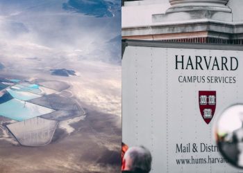 Harvard confirma que un elemento químico podría ser clave para tratar el Alzheimer