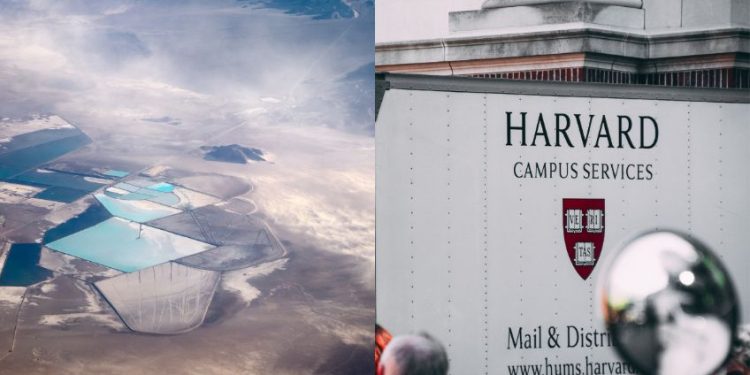 Harvard confirma que un elemento químico podría ser clave para tratar el Alzheimer