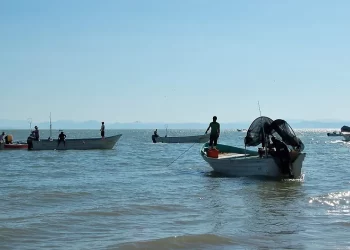 Pescadores del Alto Golfo logran apertura para modificar límites de pesca por la vaquita marina