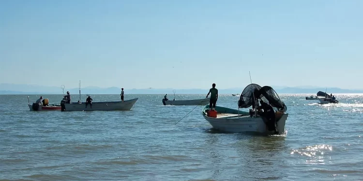 Pescadores del Alto Golfo logran apertura para modificar límites de pesca por la vaquita marina