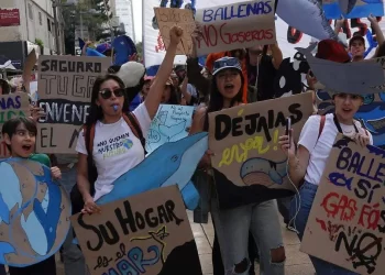 Lanzan petición nacional contra proyectos gaseros en el Golfo de California