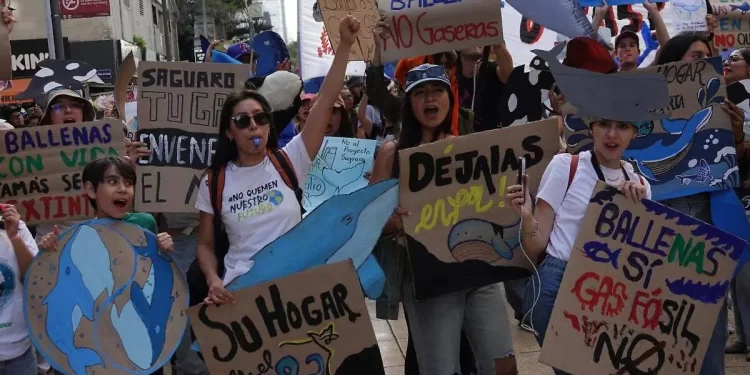 Lanzan petición nacional contra proyectos gaseros en el Golfo de California