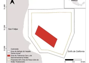 Tratan de engañar directivos de Conapesca a pescadores de San Felipe: Ana García  