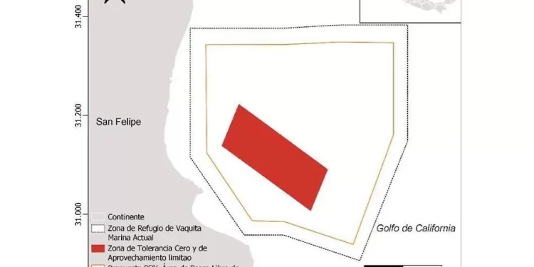 Tratan de engañar directivos de Conapesca a pescadores de San Felipe: Ana García