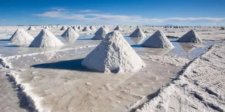 ¿Y el Litio?… Gobierno de Sheinbaum admite que es ‘inviable’ en México tras creación de LitioMx