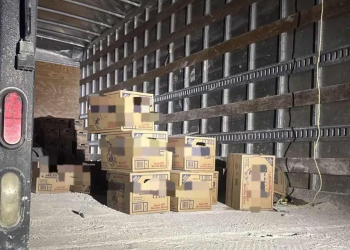 Frustran robo a tren cargado con cerveza, en Hermosillo delincuentes se enfrentan a policías y huyen al monte