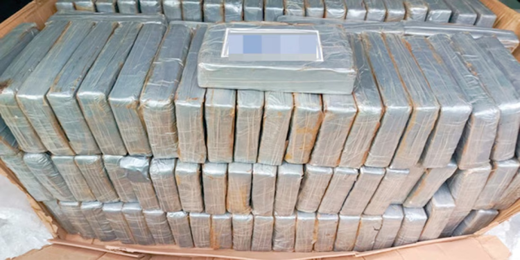 Marina y AMIC aseguran narcóticos y vehículo robado en Sonora