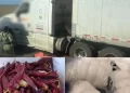 Droga oculta en chile guajillo: Decomiso sorprende a autoridades en Sonora