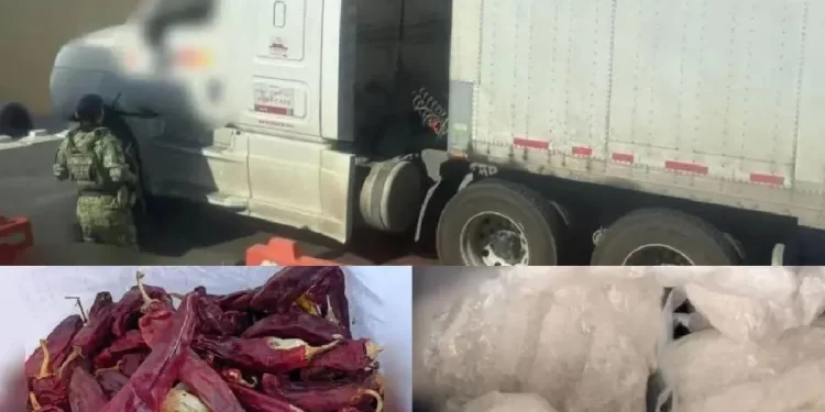 Droga oculta en chile guajillo: Decomiso sorprende a autoridades en Sonora