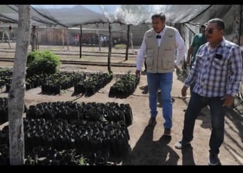 Llegan a Sonora 30 MDP para ser dispersados a beneficiarios del Programa Sembrando Vida