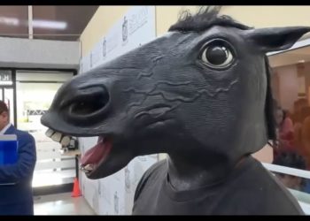 Surgen en México los ‘therians’