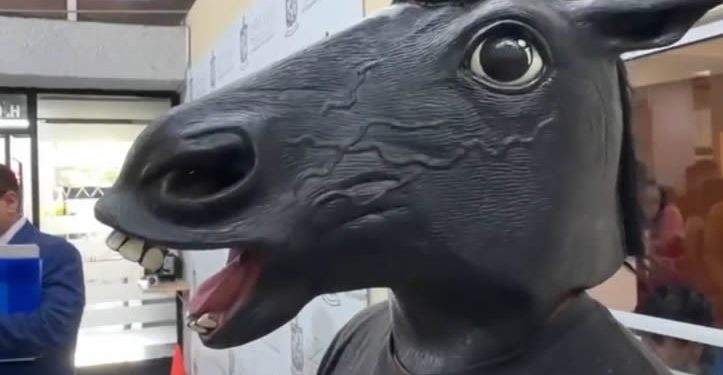 Surgen en México los ‘therians’