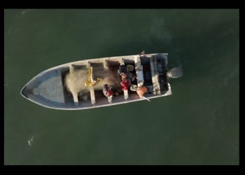 Acusan a México de rendirse ante cárteles por reducción de polígonos de protección de vaquita marina