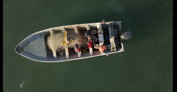 Acusan a México de rendirse ante cárteles por reducción de polígonos de protección de vaquita marina