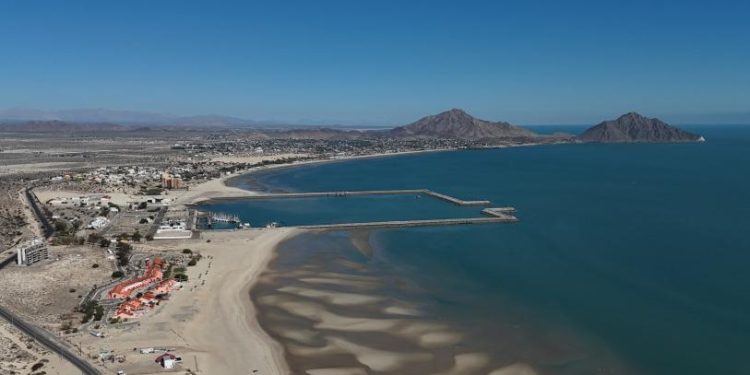 En febrero, las redes de enmalle serán otra vez legales en hábitat de la vaquita marina