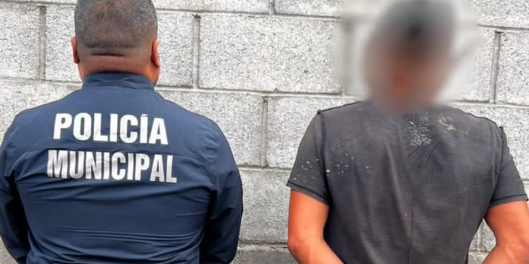 Detienen a hombre por mutilar y matar a un gato en Hermosillo, lo hizo para comérselo, confesó